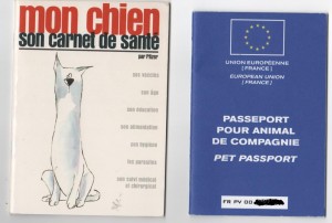 passeport carnet sante