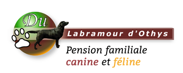 Bienvenue à la pension du Labramour d'Othys
